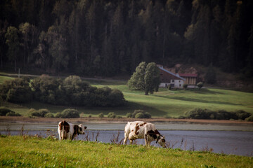 le lac de Remoray dans le Doubs en France