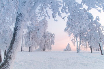 Winter landscape