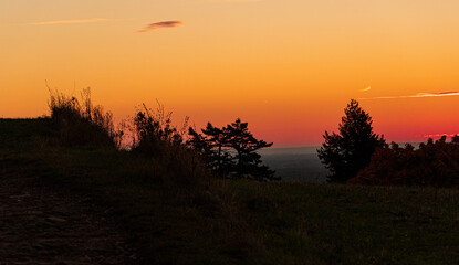 Colorful sunrise in the morning: hill with trees and branches 