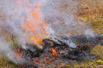 Wildfire on field after harvesting burning dry grass meadow due arid climate change hot weather and...
