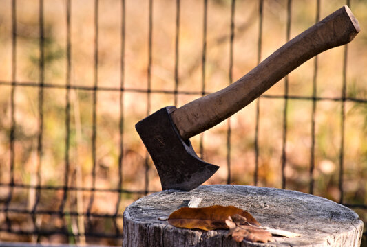 Siekierka ( siekiera ) wbita w pień . An ax (ax) stuck in a stump. 