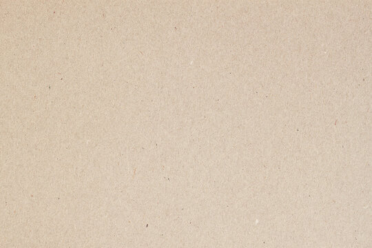 Organic cardboard texture, recyclable material, villi, fluff inclusions. Natural craft background