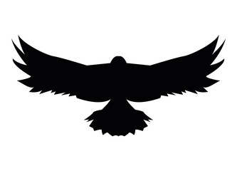 eagle wild animal silhouette