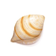 Seashell vector illustration. Marine underwater theme.