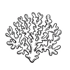 Hand drawn coral vector illustration. Underwater flora, sea plants. © Victoria Sergeeva