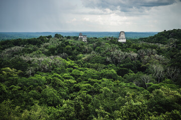 Fototapeta na wymiar Aerial view on the jungle forest with Maya pyramids reaching out at Tikal , Peten, Guatemala