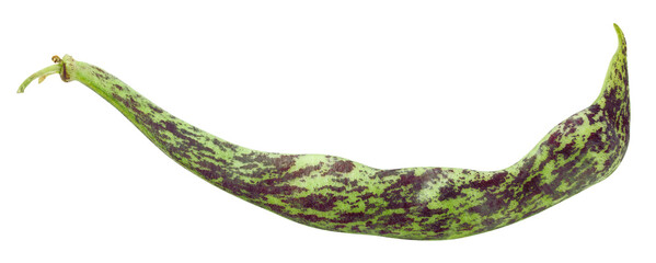 bean pod, isolated on white background, clipping path, full depth of field