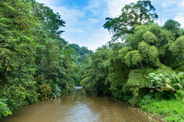 A calm river cutting through lush tropical forest in Grand Riviere, a village in Trinidad and...
