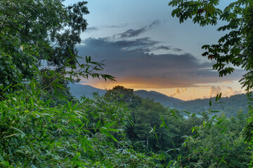 Looking out over the expanse of the Northern Range rainforest in Trinidad and Tobago in the evening...