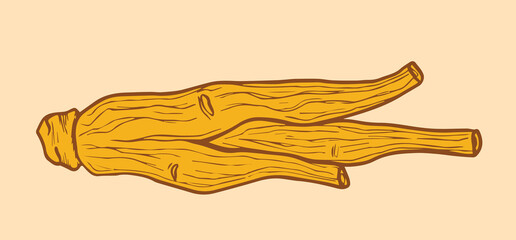 Red korean dried ginseng illustration.