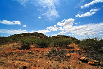 A picture of the african landscape