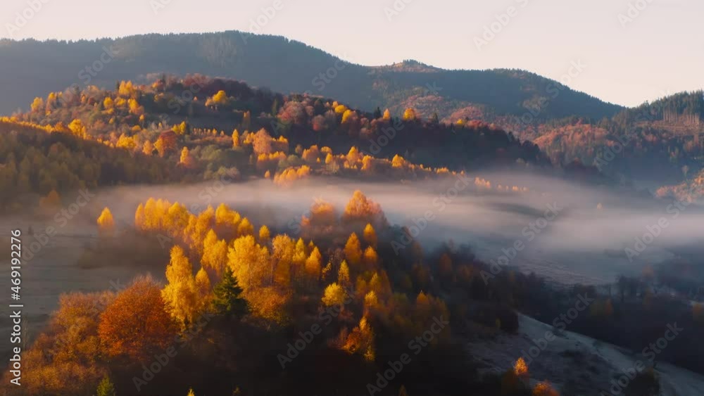 Canvas Prints aerial view of mountain forest in low clouds at sunrise in autumn. hills with red and orange trees i