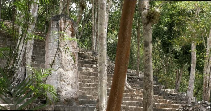 Estela y estructura en la ciudad maya de Calakmul, Campeche, M&eacute;xico.