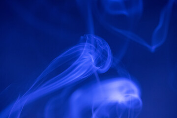 Purple Smoke on Black Background