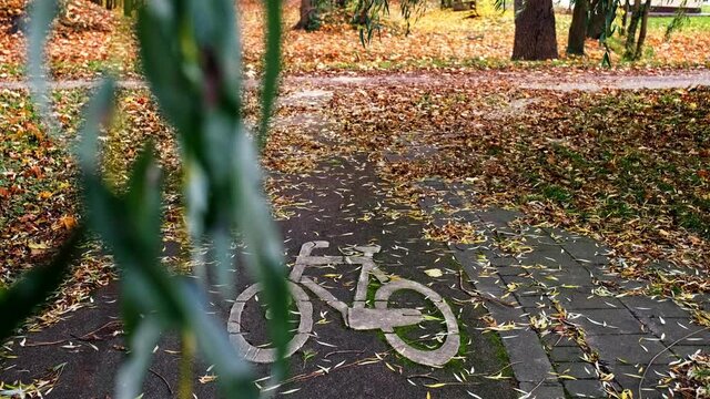 City Neglected Bike Road Marking Covered with Yellow Withere Autumn Leaves