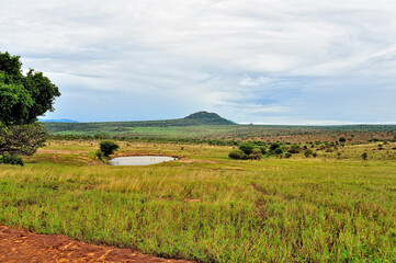 A picture of the african landscape