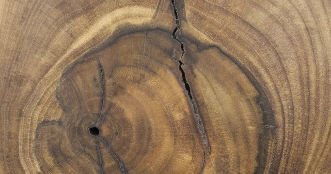 Rotation of the natural texture of walnut wood. Old wood in cracks