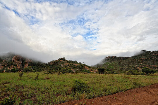 A picture of the african landscape