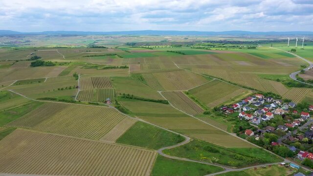 flight above the wine yards in the rheinpfalz germany
