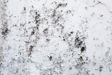 Grunge Background Texture
