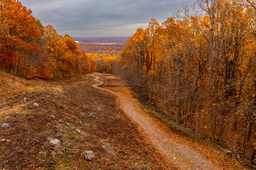 A hiking path during autumn
