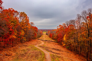 A hiking path during autumn