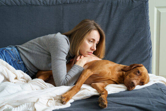 Woman Taking Care Of Old Sick Dog. Unhappy Female Pet Owner Lying On Couch Embracing Tired Ill Vizsla. Upset Woman Looking At Weak After Dangerous Sickness Or Bone Fracture. Animal Friend Concept