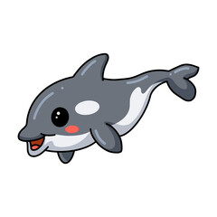 Cute little killer whale cartoon