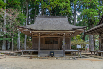 Fototapeta premium 高野山壇上伽藍
