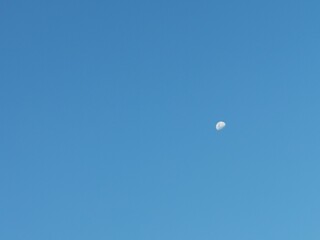 moon in flight