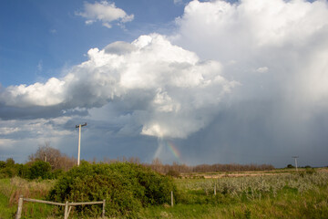 Severe Storms