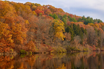 Fototapeta na wymiar Trees with Autumn colors on the shore of Raccoon Lake and Raccoon Creek State Park.