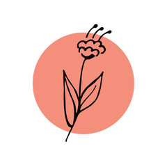 Flower hand-drawn, black silhouette on orange circle and white background. Design element, vector