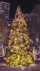 christmas tree on the street