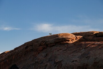 Arches National Park 
