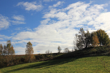 秋の夕暮れの牧草畑
