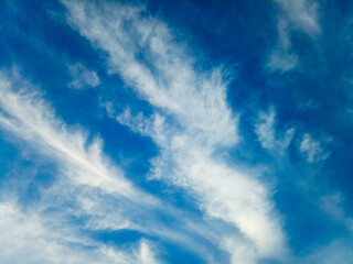 Blue Sky When I Slept on Ground