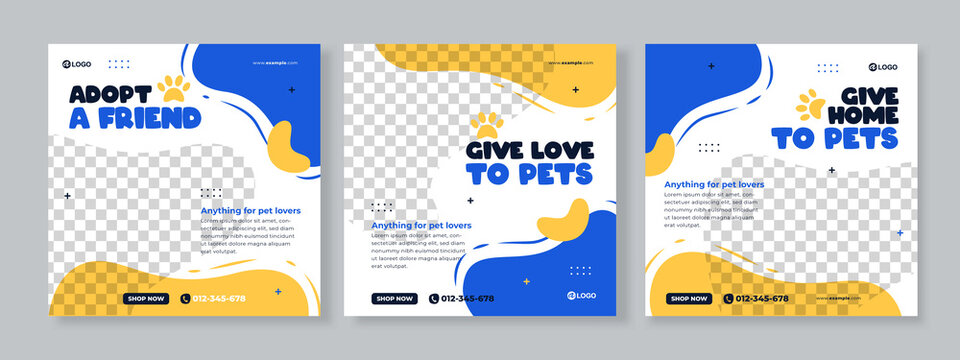 pet care banner social media pack template premium
