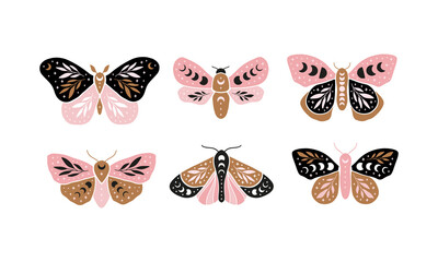 Celestial butterfly vector illustration set. Mystical luna moth with moon phases. Magic insect on white background. Design for boho poster, magical card, t shirt print, sticker. © Alena Koval