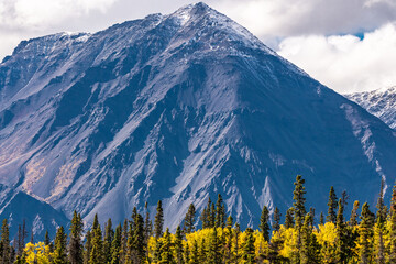 Beautiful September fall, autumn landscape image from northern Canada with boreal forest, spruce...