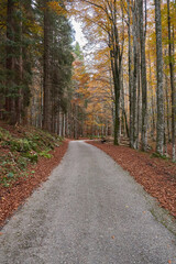 Autunno