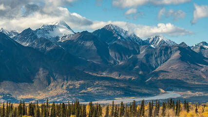 Beautiful September fall, autumn landscape image from northern Canada with boreal forest, spruce and pine tree and snow capped mountains background. 