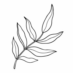 Abstract twig with leaves isolated on a white background. Vector hand-drawn illustration in outline style. Perfect for cards, logo, decorations, invitations. 