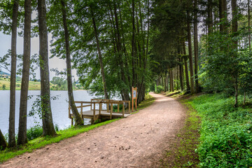 Le Lac des Sapins, Cublize