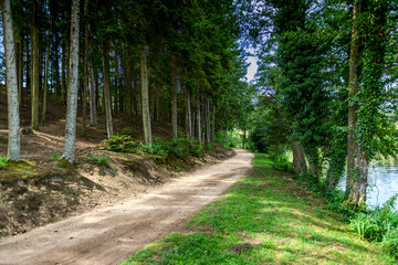 Le Lac des Sapins, Cublize
