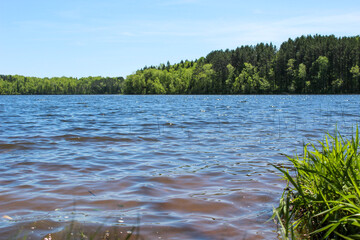 lake in the forest