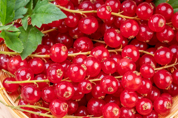 Close up shot of Red currant in bamboo basket on wooden background, Red currant berries with leaf on wooden table.