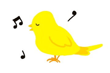 歌うカナリア