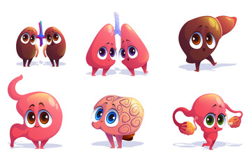 Cute characters of human internal organs isolated on white background. Vector set of cartoon funny brain, liver, kidneys, lungs, uterus with ovaries and stomach