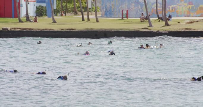 Group of people enjoying snorkel activity during vacations at Punta Escambron, San Juan, Puerto Rico